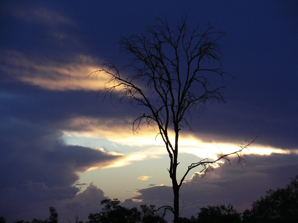 020   Pęknięte Niebo Nad Australijskim Buszem